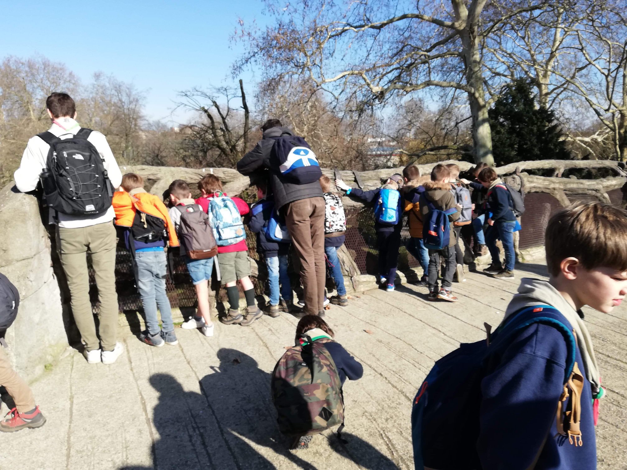 Sint-Martinus den XIIde - Zoo Antwerpen Kapoenen